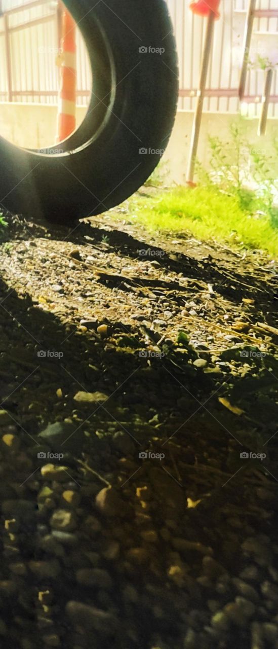 beauty in everything