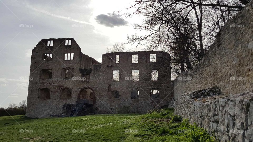 Oppenheim Castle Ruins