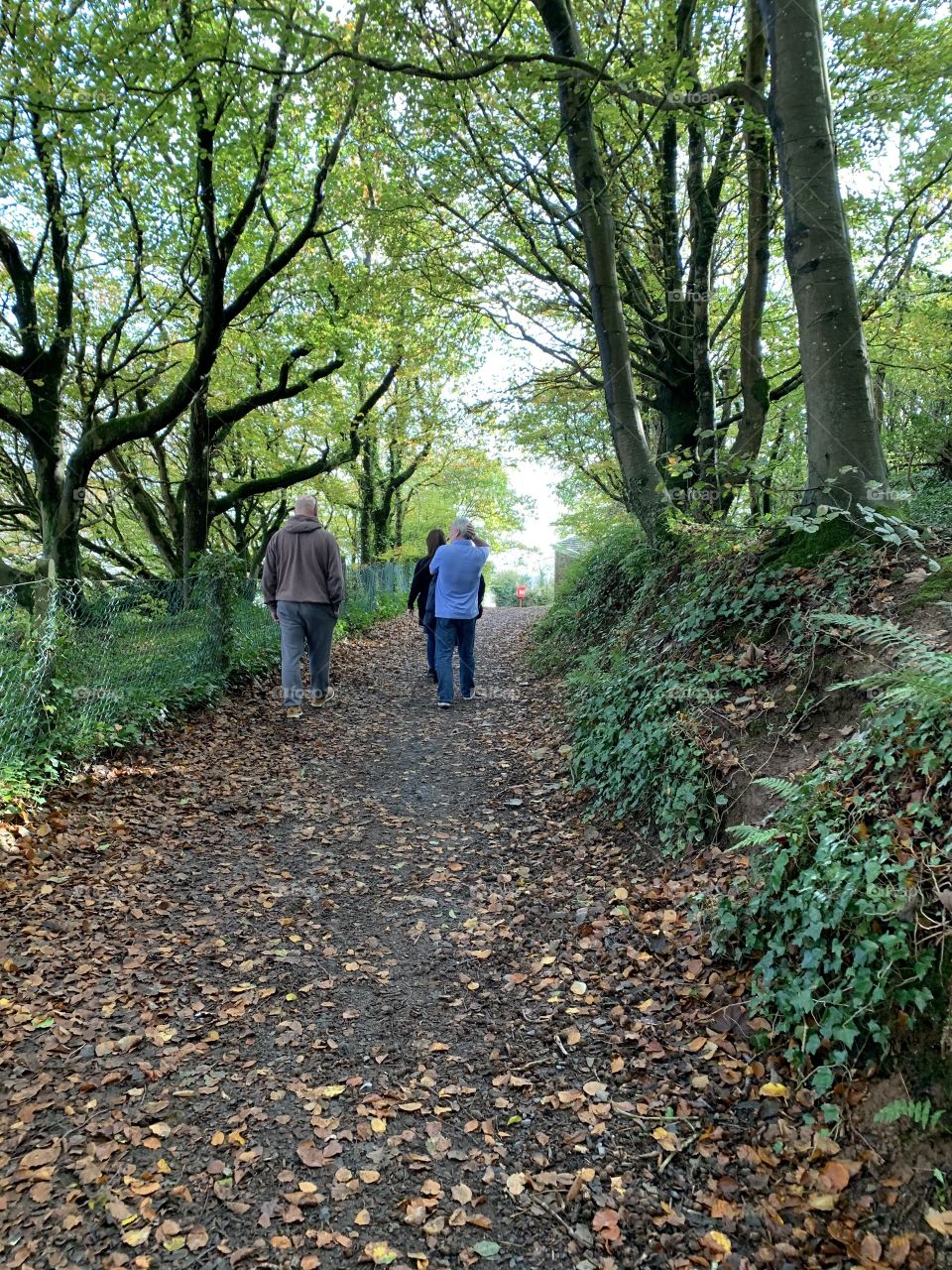 Autumn walk. Family and friendship 