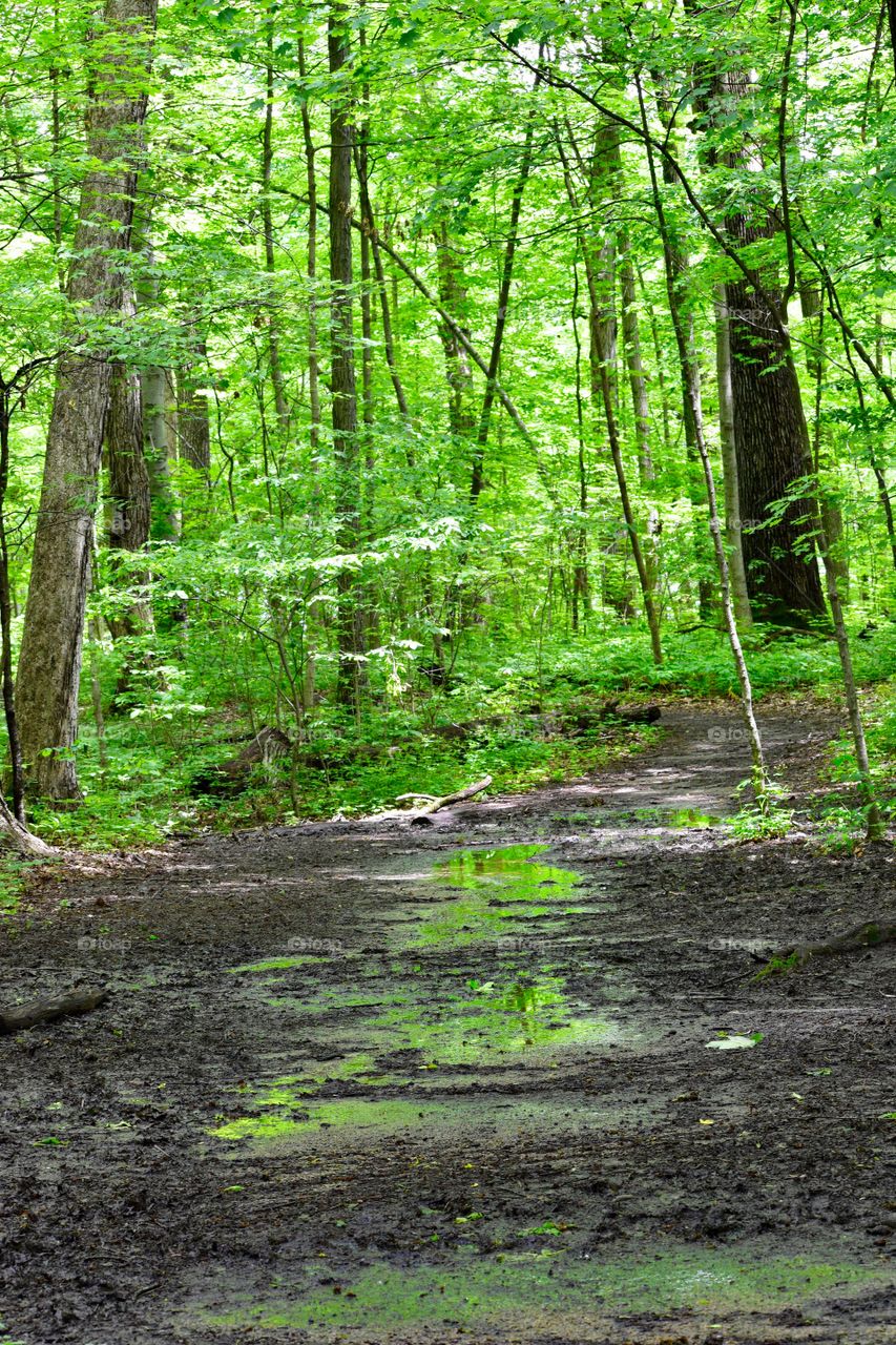 Hiking in mounds state park in Indiana 
