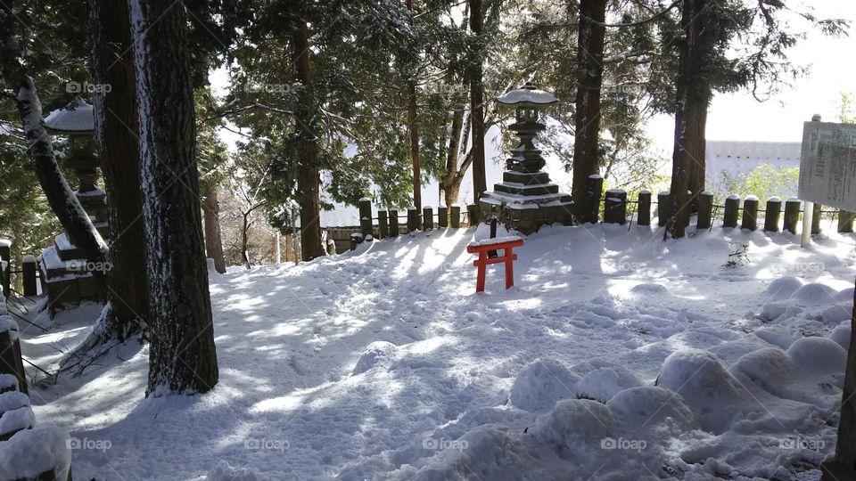Taro shrine Torii