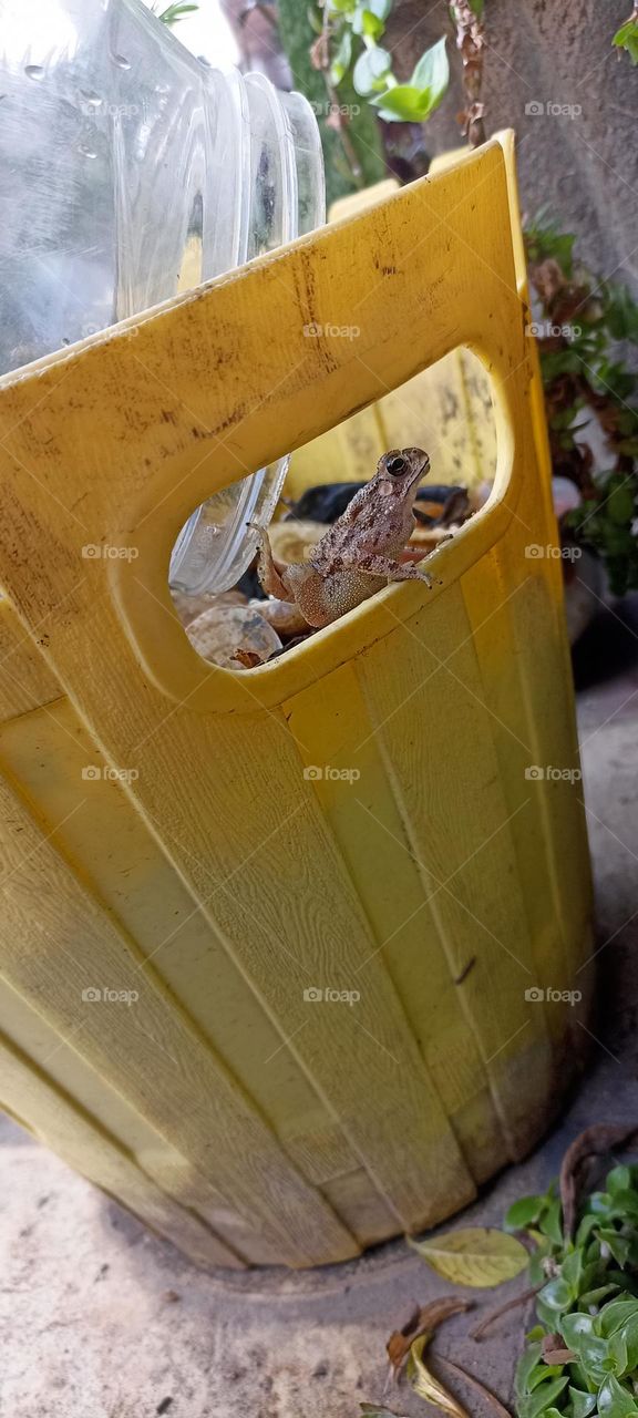 I am not going to jump just looking out side