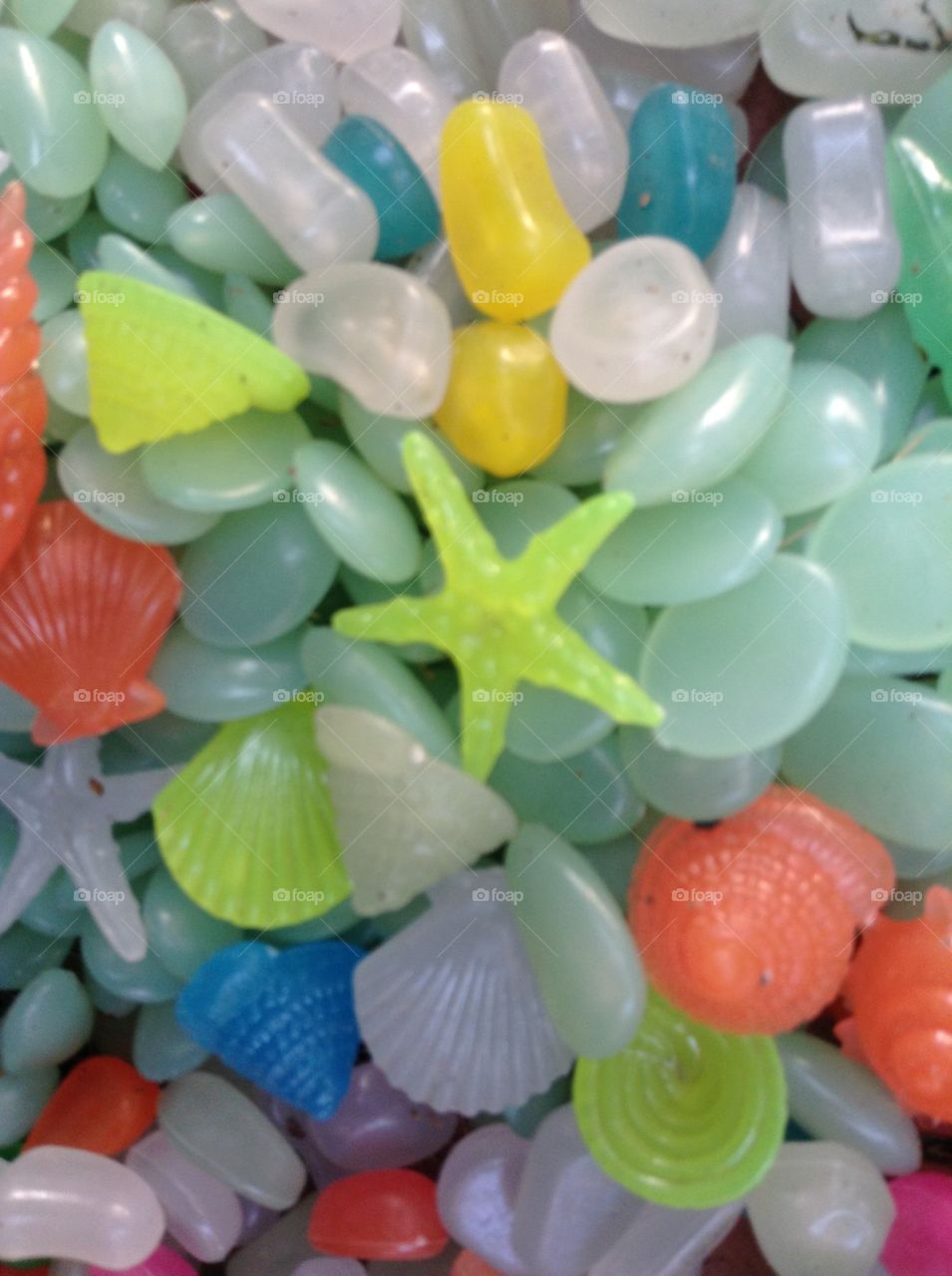 Sea shells and rocks 