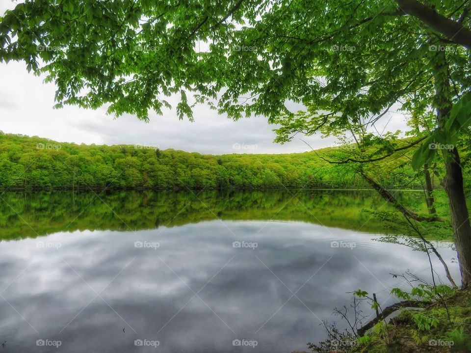 Reflexion Parc du Mont St-Bruno