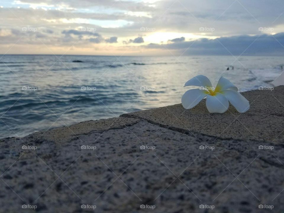 Enjoying the view in Hawaii