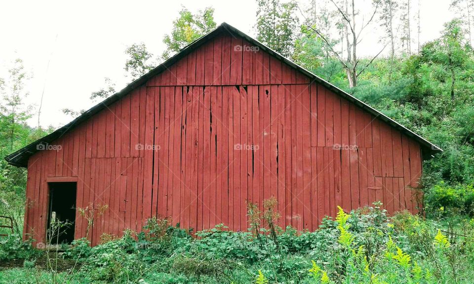 Barn
