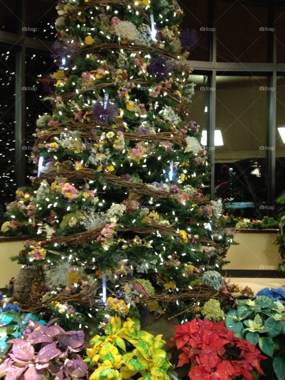 snow winter flowers light by somebeach