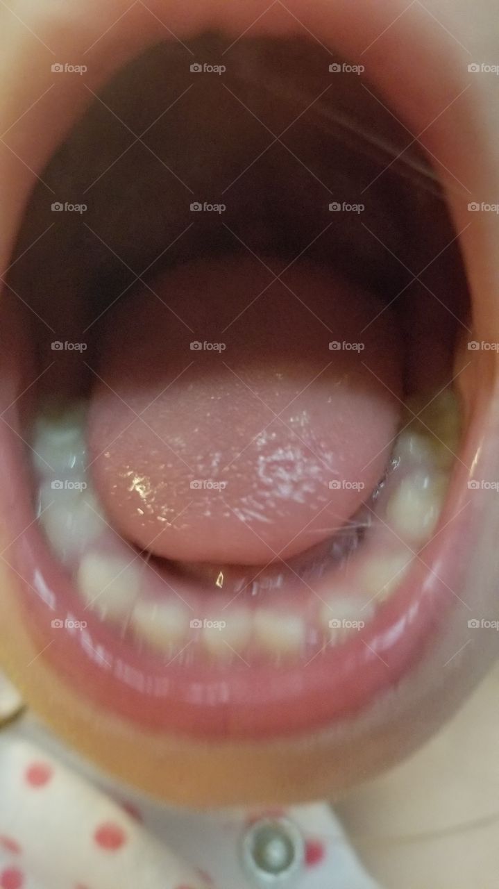 Tongue and teeth. open mouth