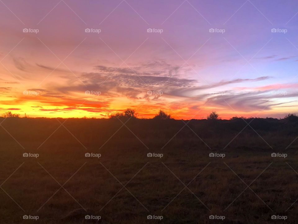 Another beautiful Texas sky at sunset on the ranch. The purple against the fiery red and orange was amazing! 💜