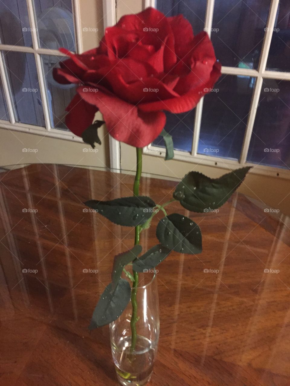 A gorgeous red rose in a slender glass vase on a coffee table with glass top next to the French doors giving a beat effect.