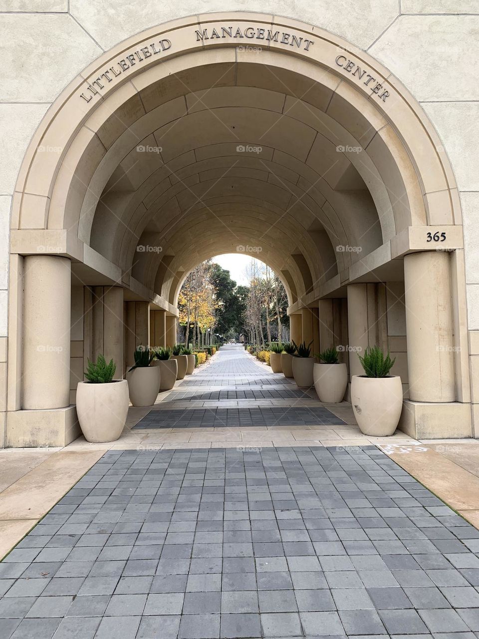 Little Field - Management Center - Stanford University