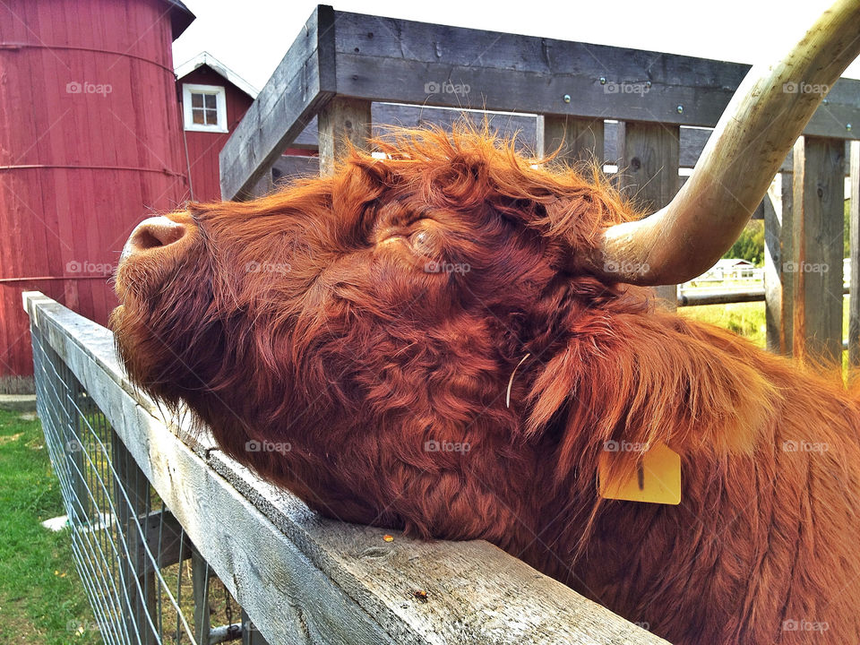 sky green field pretty by somebeach