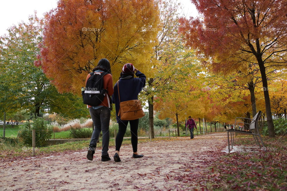 Promenade automnale