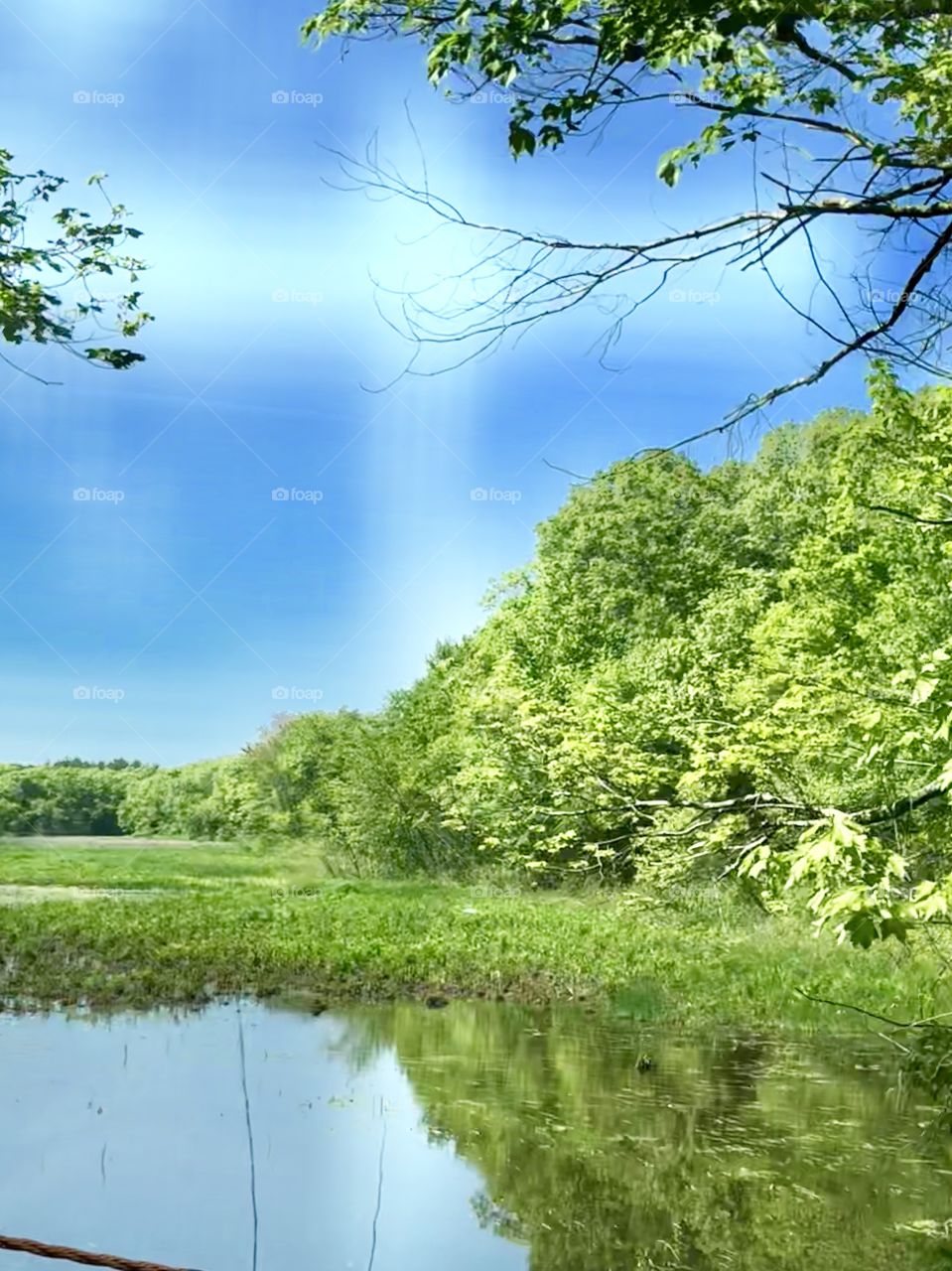 This nature scene offers a scenic view of a pond surrounded by lush greenery, with reflections of blue sky, white cloud & greenery shimmering on the still surface of the water. 