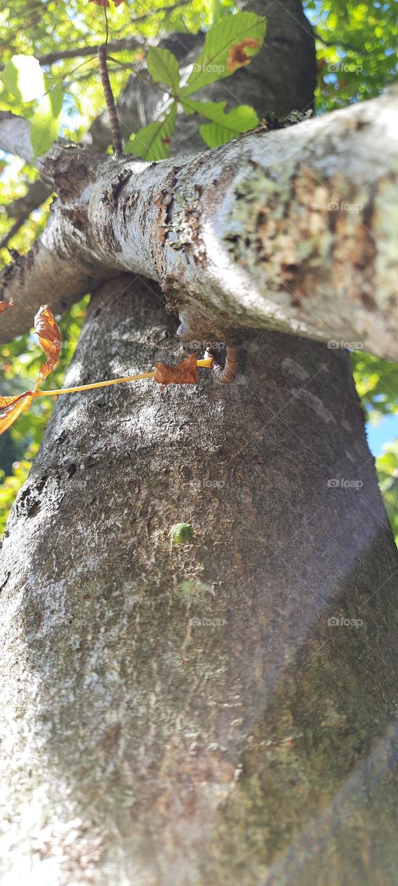 somebody says it's too high, but I don't think so