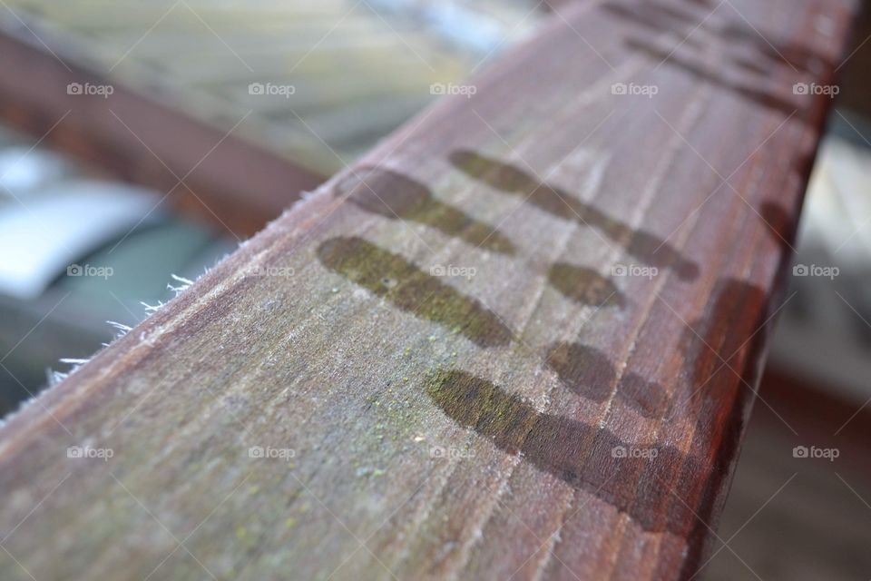 Hand print on frosty wood