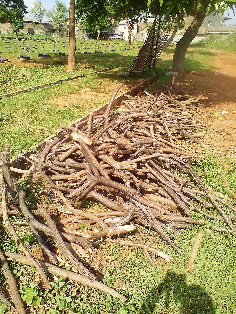 This wood is deliberately placed on the side of the road to be dried in the sun so that the wood dries quickly and the foam is used for cooking purposes