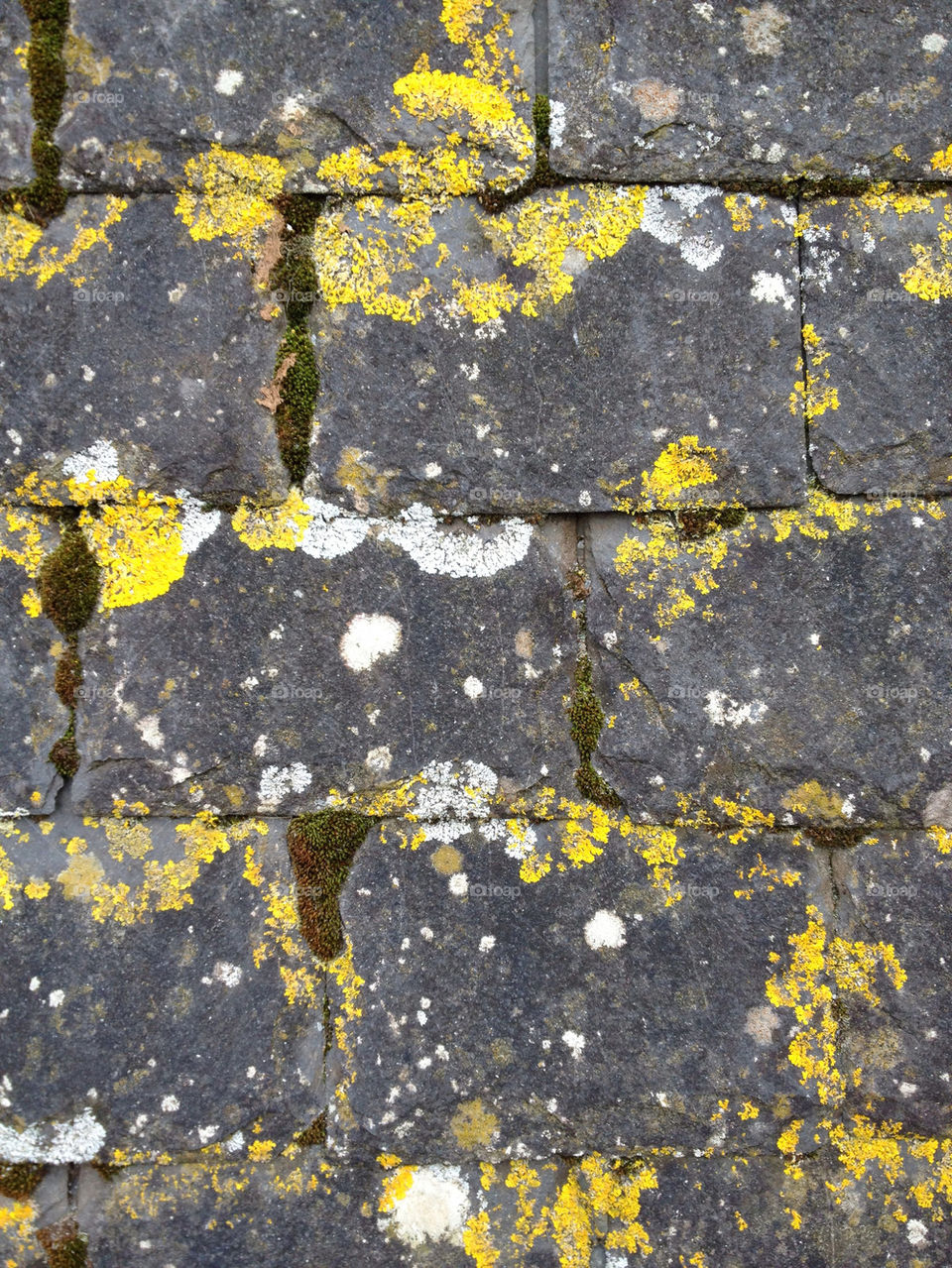 grey building roof tiles by katyclemmans