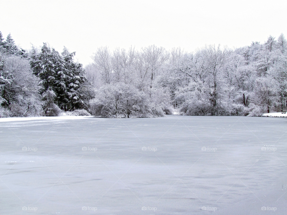 snow winter landscape trees by landon