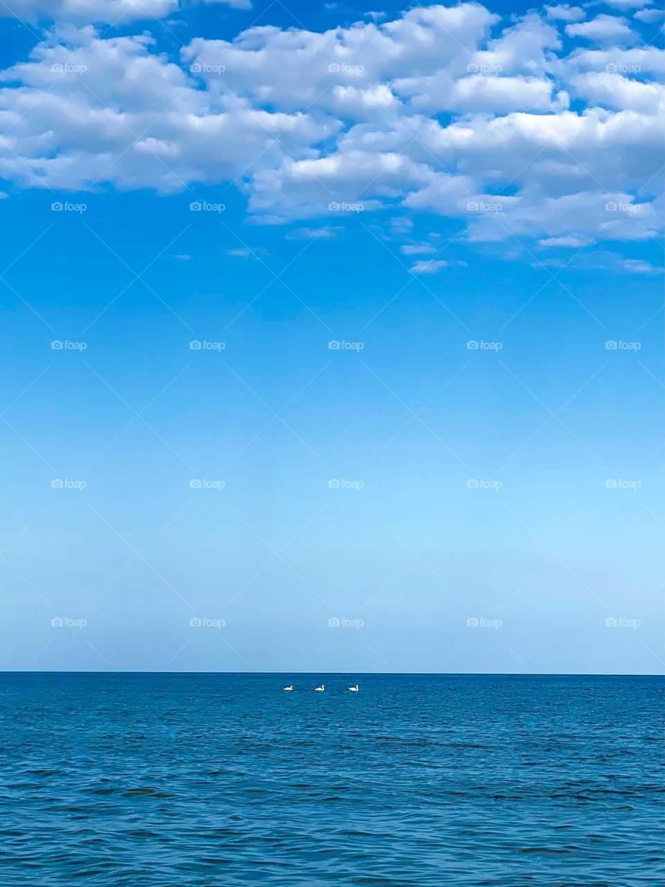 bright colors in minimalism