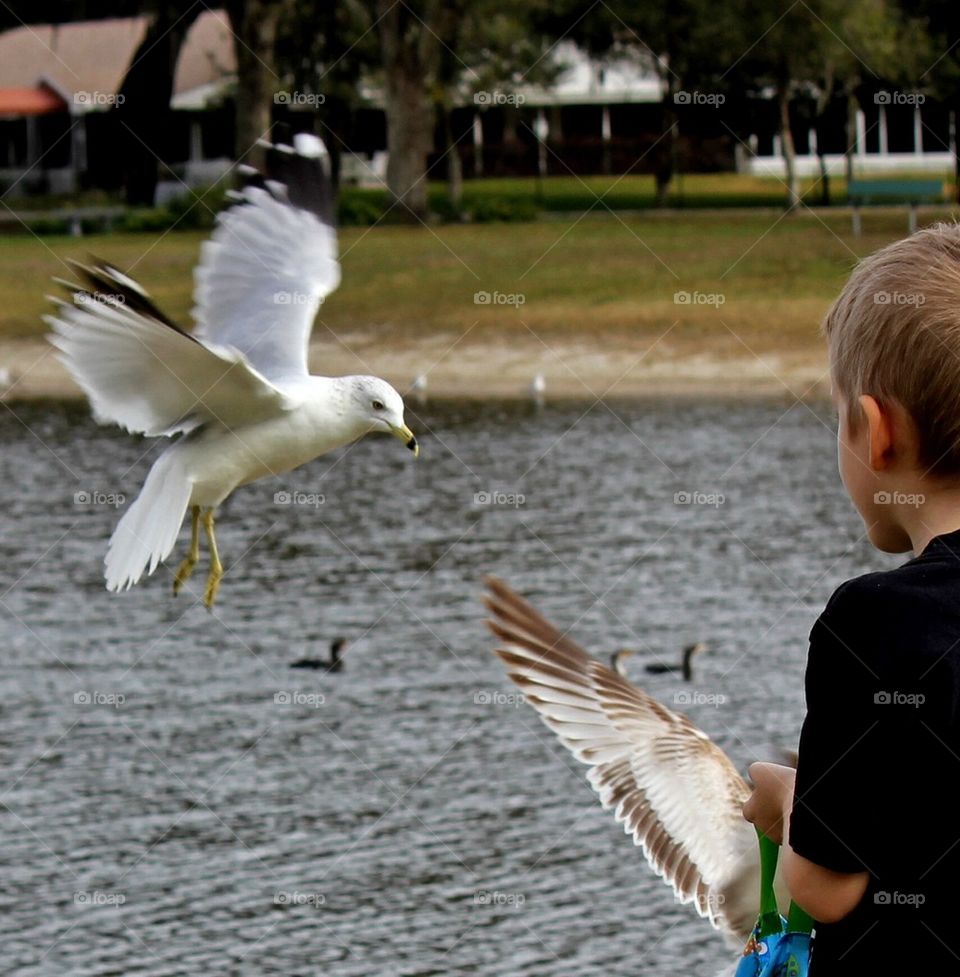 Boy feeding birds