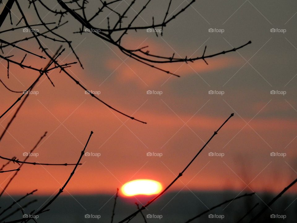 distant sunset through branches