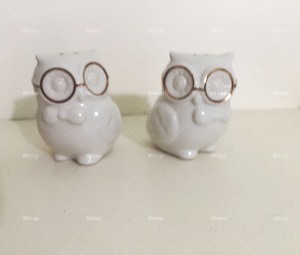 Salt and Pepper. Owl salt and pepper shakers