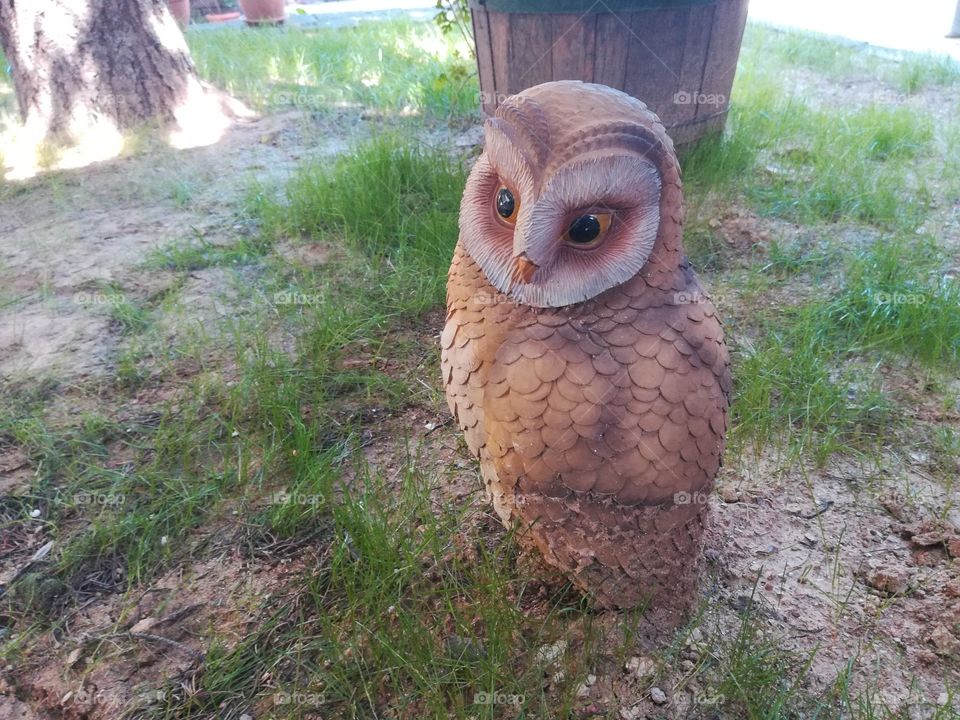 Owl, garden decor