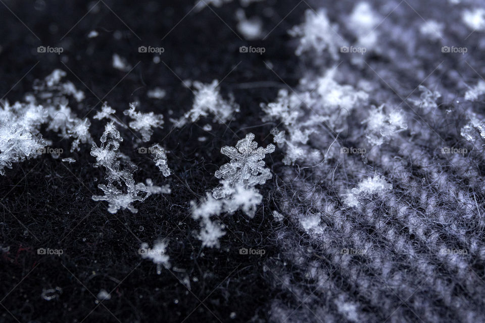 A macro portrait of a snowflake fallen onto a scarf. you can see every detail of the crystal form of the flake.