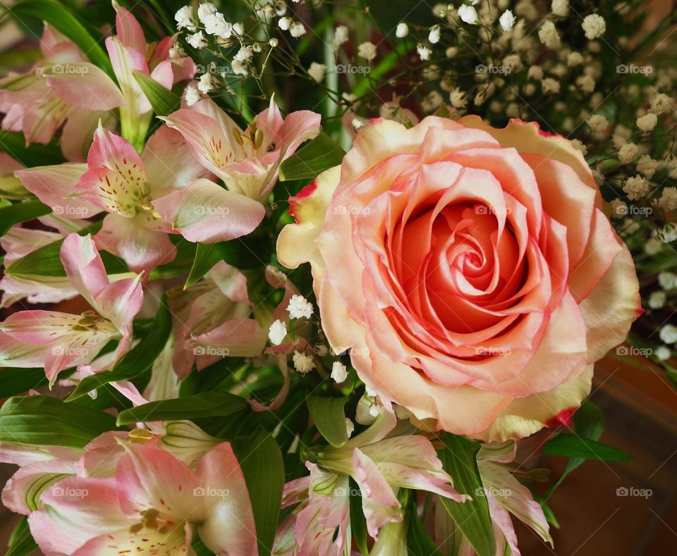 Bouquet of extra large pink roses.