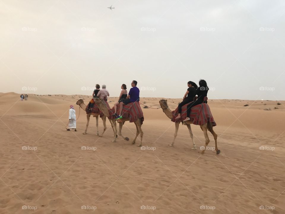 Camel ride anyone ?