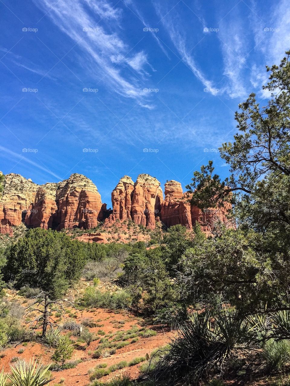 Red rocks Sedona 