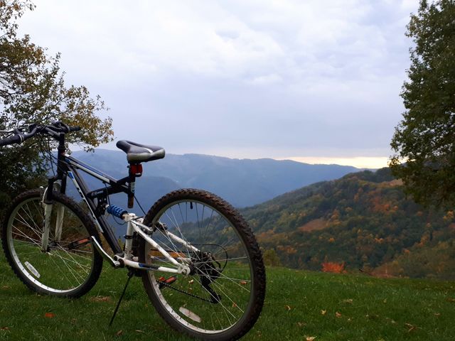cycling in nature