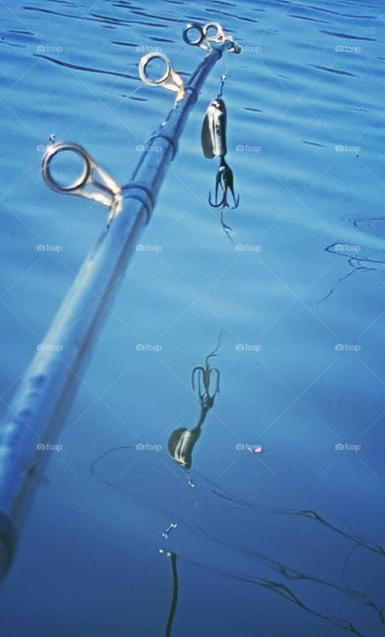Fishing pole and lure