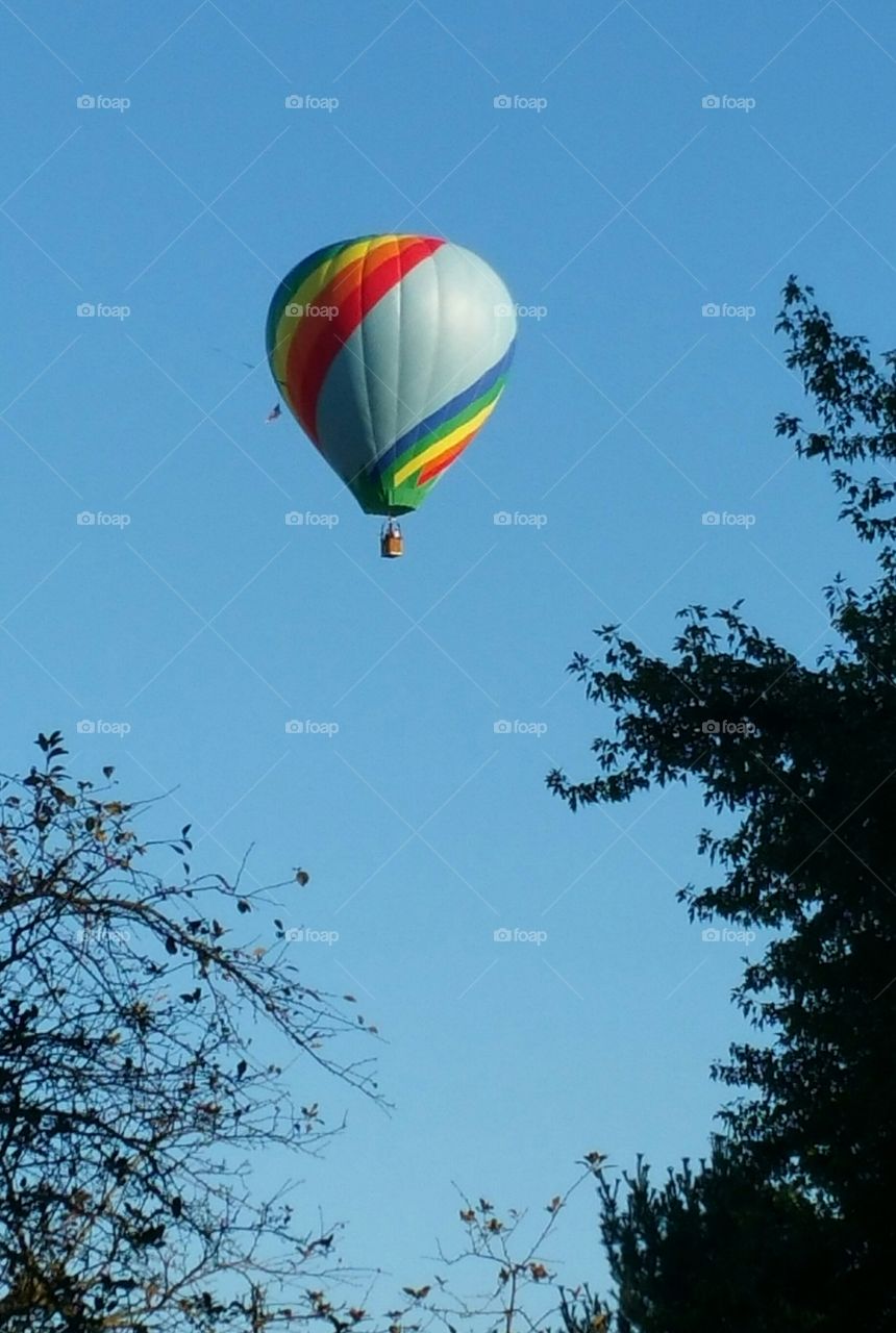 hot air balloon  flying high
