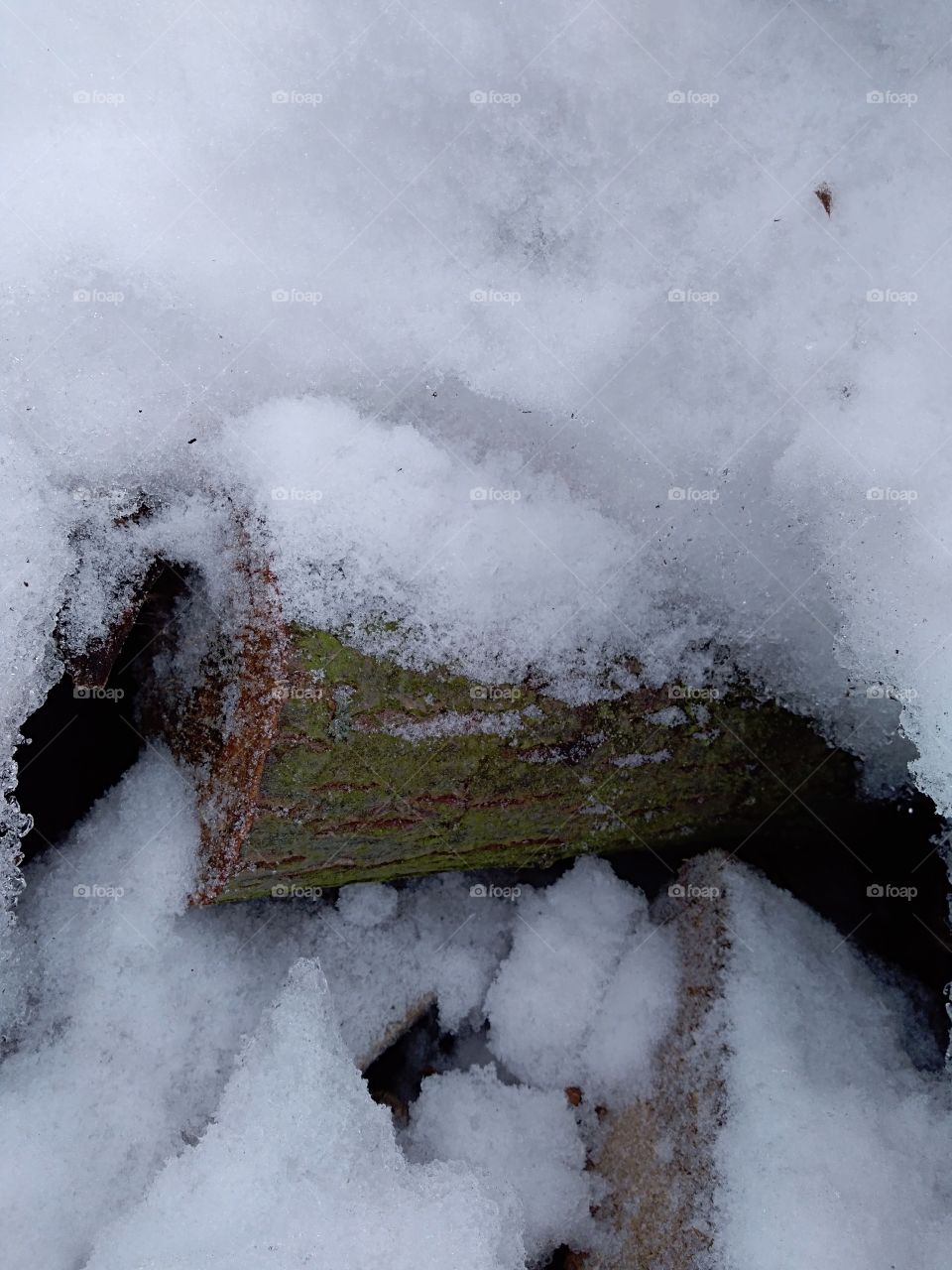 Green piece of wood under snow