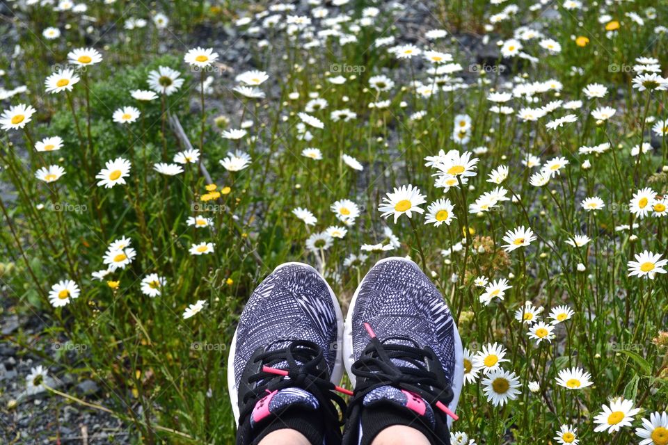 Shoes and daisies
