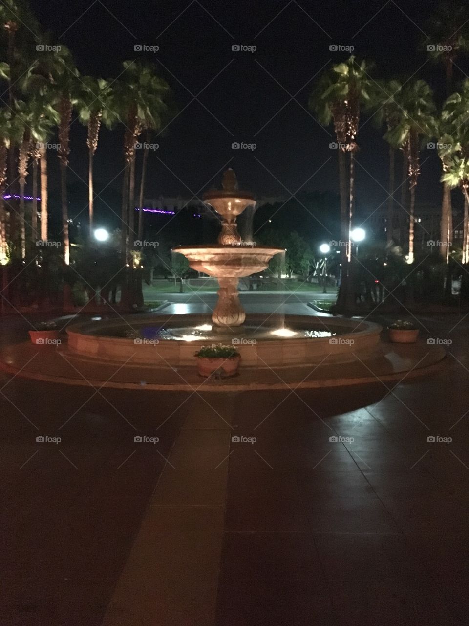 Mission Palms Fountain