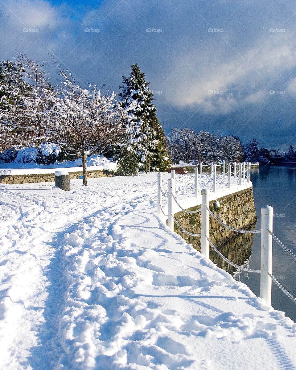 snowy path