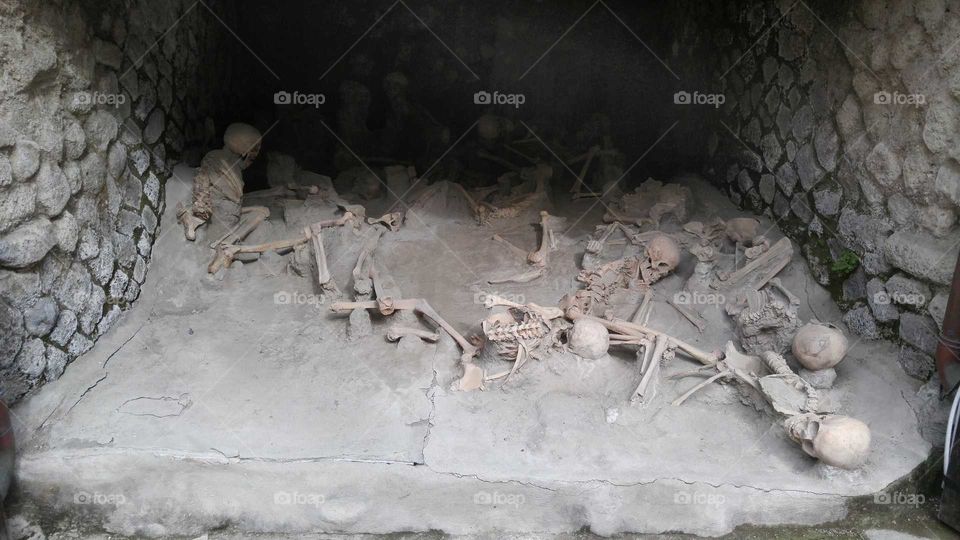 Herculaneum bones