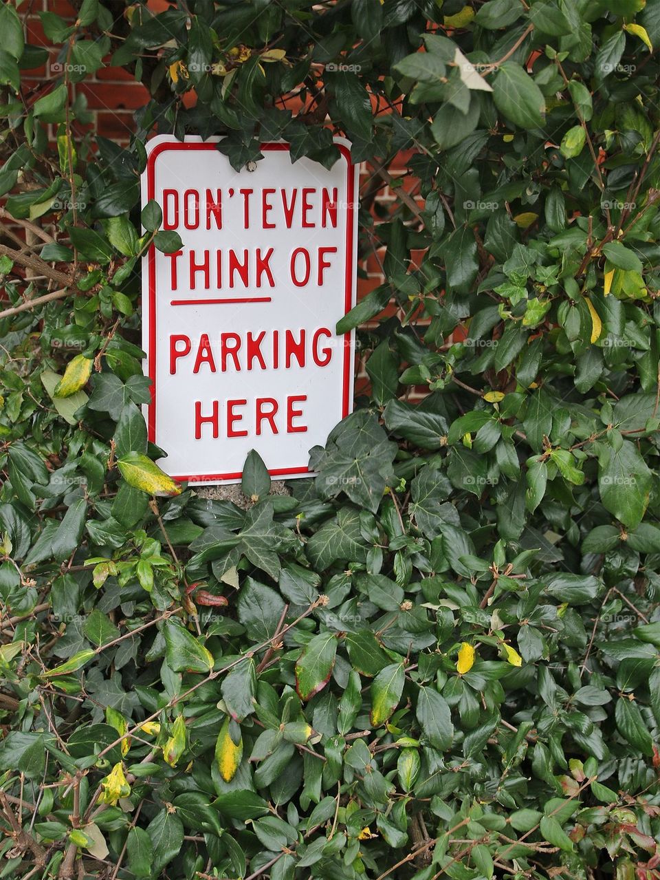 Don't even think of parking here