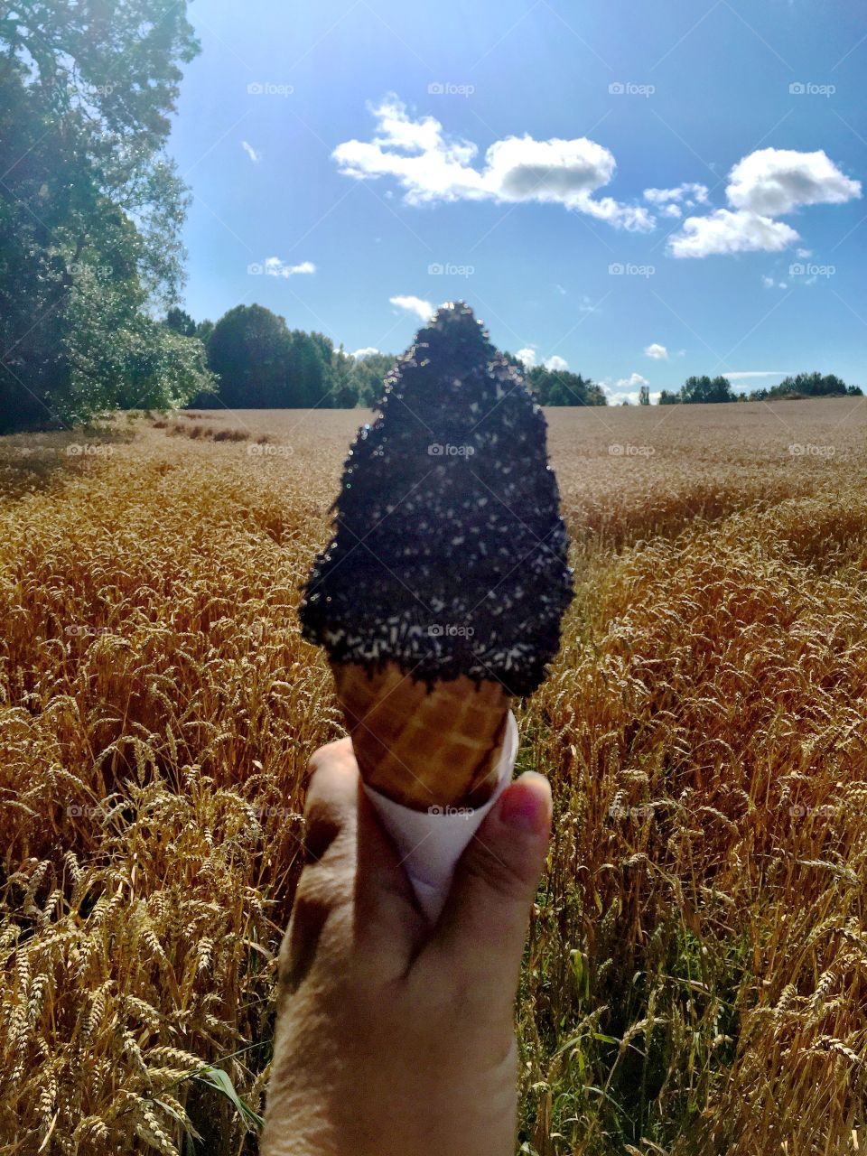 Icecream . Delicious Icecream in my hand! 