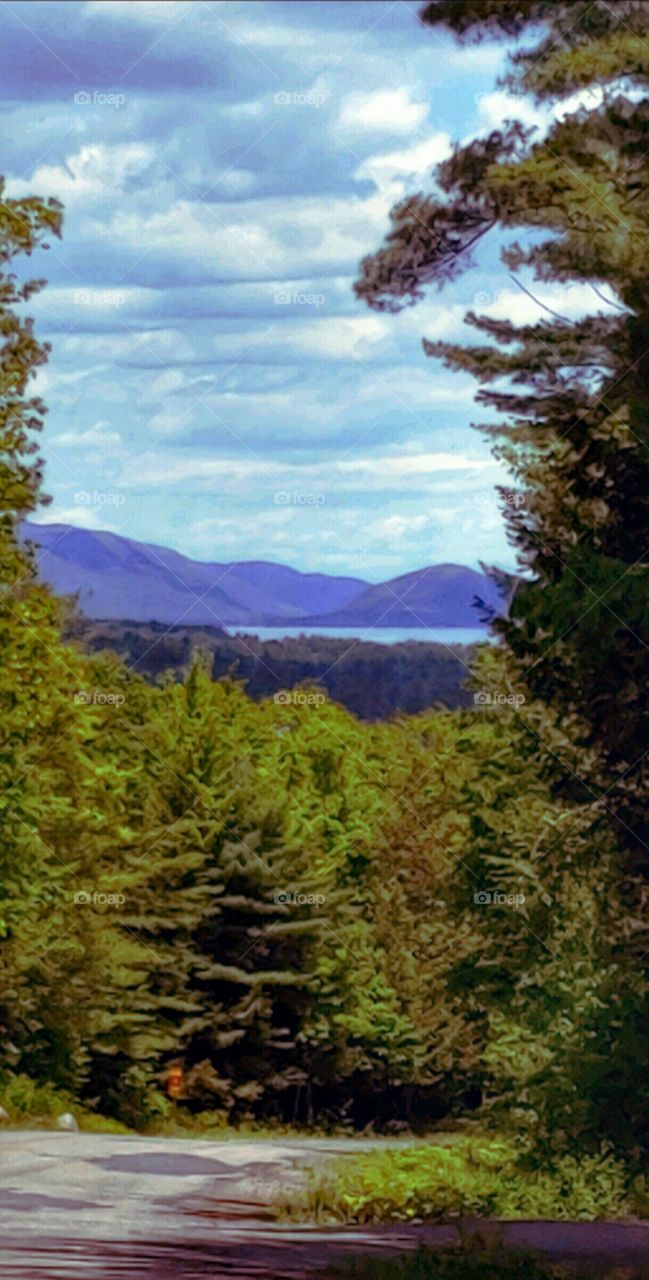 The Adirondack Park at Dusk!