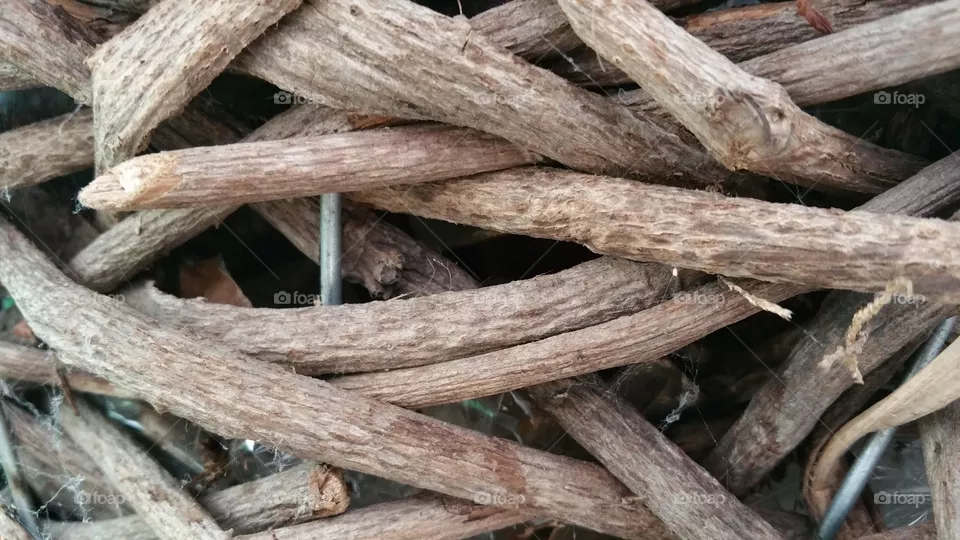Twigs