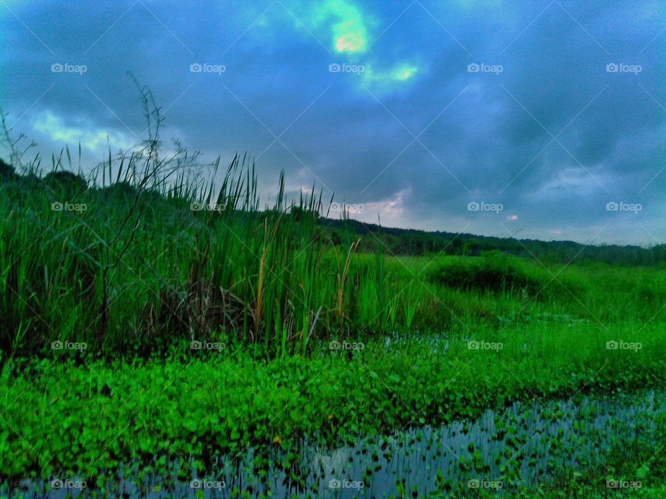 Early morning at the wetlands. Dark skies at sunrise lakeside