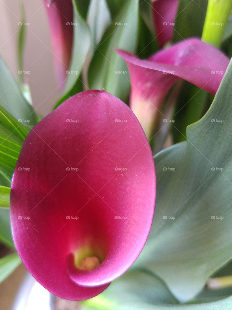 It all depends on how you look at it