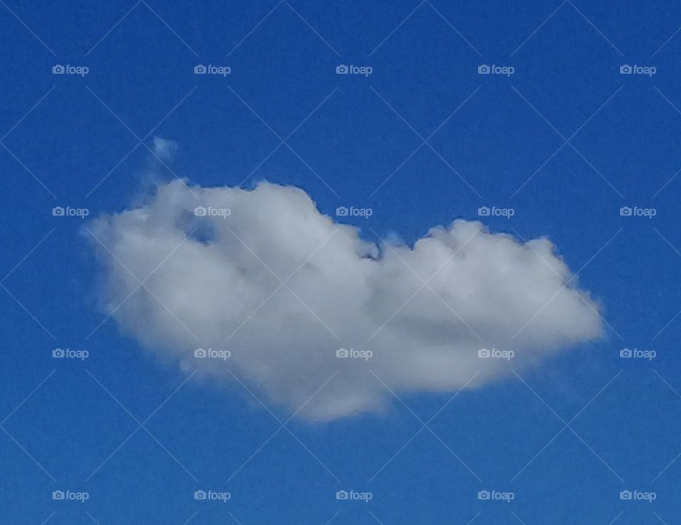 imagen de una nube en forma de corazón, casi perfecto, recortada sobre un límpido cielo de verano.