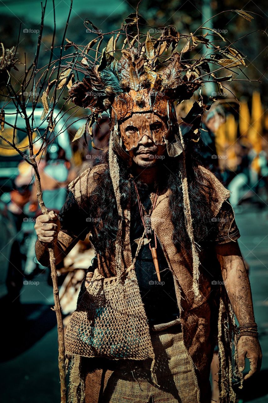 Carnival costume