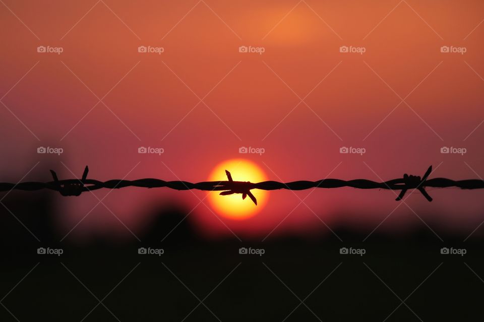 Sunset silhouettes of Barbed Wire