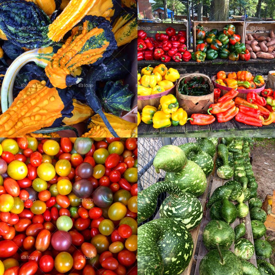 Roadside Produce Collage. Just pull over and enjoy the view. Love to stop here in my daily travels and marvel at the shapes and colors of nature. 